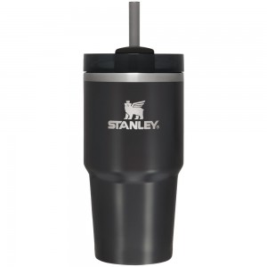 Black Glow Stanley Quencher H2.0 Travel Tumbler | 20 OZ Water Bottles | 94031RHDN