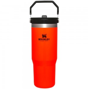 Blaze Orange Stanley Hunt + Fish IceFlow™ Flip Straw Tumbler | 30 OZ Water Bottles | 74381IUXF