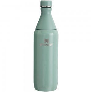 Blue Stanley All Day Slim Bottle | 20 OZ Water Bottles | 52746PKWE