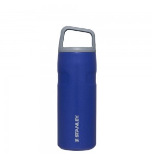 Blue Stanley IceFlow™ Bottle with Cap and Carry+ Lid | 16 OZ Water Bottles | 89267YVIW