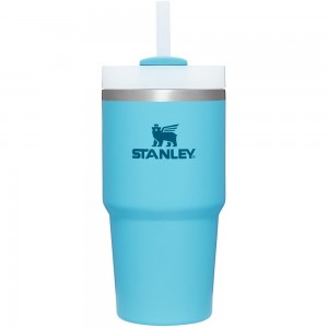 Blue Stanley Quencher H2.0 Travel Tumbler | 20 OZ Water Bottles | 43720PFVX