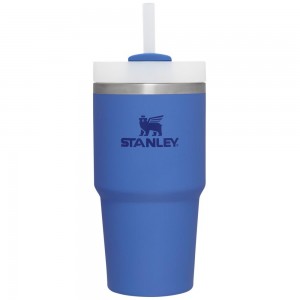 Blue Stanley Quencher H2.0 Travel Tumbler | 20 OZ Water Bottles | 41796AYKO