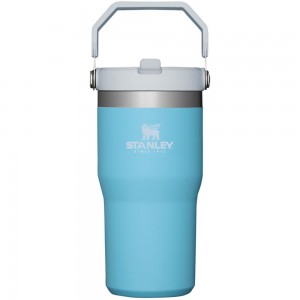 Blue Stanley The IceFlow Flip Straw Tumbler | 20 OZ | Insulated Water Tumbler | Sta Water Bottles | 87619LXQT