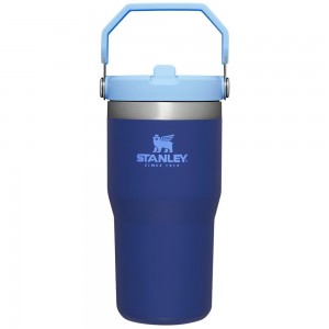 Blue Stanley The IceFlow Flip Straw Tumbler | 20 OZ | Insulated Water Tumbler | Sta Water Bottles | 04538MDRB