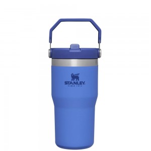 Blue Stanley The IceFlow Flip Straw Tumbler | 20 OZ | Insulated Water Tumbler | Sta Water Bottles | 21865DIPL