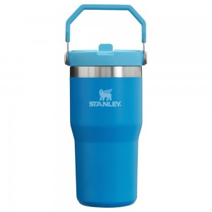 Blue Stanley The IceFlow Flip Straw Tumbler | 20 OZ | Insulated Water Tumbler | Sta Water Bottles | 40892PGAS