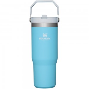 Blue Stanley The IceFlow Flip Straw Tumbler | 30 OZ | Insulated Water Water Bottles | 24086QTBO