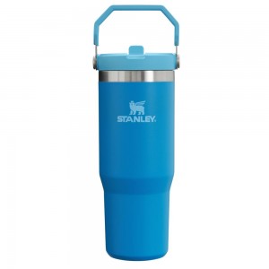 Blue Stanley The IceFlow Flip Straw Tumbler | 30 OZ | Insulated Water Water Bottles | 12034ZPEV