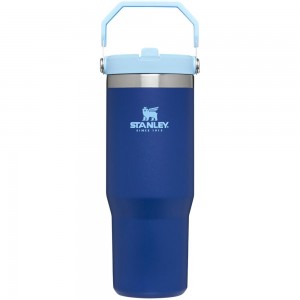 Blue Stanley The IceFlow Flip Straw Tumbler | 30 OZ | Insulated Water Water Bottles | 35479LZCR