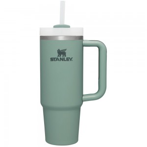 Cadetblue Stanley Quencher H2.0 Travel Tumbler | Soft Matte | 30 OZ Water Bottles | 67159RMXH