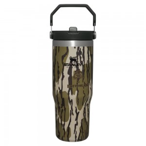 Camo Stanley Hunt + Fish IceFlow™ Flip Straw Tumbler | 30 OZ Water Bottles | 27906KULE