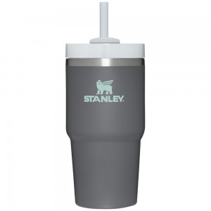 Charcoal Grey Stanley Quencher H2.0 Travel | 20 OZ Tumbler | 83971VJLZ