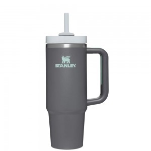 Charcoal Grey Stanley Quencher H2.0 Travel | 30 OZ Tumbler | 52348LTGM