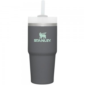 Charcoal Grey Stanley Quencher H2.0 Travel Tumbler | 14 OZ Water Bottles | 48561IOUD