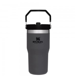 Charcoal Grey Stanley The IceFlow Flip Straw Tumbler | 20 OZ | Insulated Water Tumbler | Sta Water Bottles | 50386QBFM