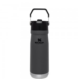 Charcoal Grey Stanley The IceFlow Flip Straw Water Bottle | 22 OZ | Insulated Bottle | Stanl Water Bottles | 82749PKMV