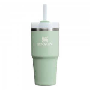 Cream Stanley Quencher H2.0 Travel Tumbler | 14 OZ Water Bottles | 14692CGXM