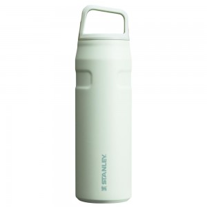 Darkseagreen Stanley IceFlow™ Bottle with Cap and Carry+ Lid | 24 OZ Water Bottles | 18904NIOZ