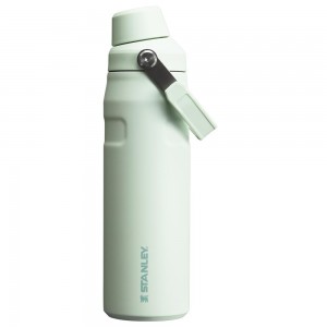 Darkseagreen Stanley IceFlow Insulated Bottle with Fast Flow Lid | 24 OZ Water Bottles | 98405LHYA