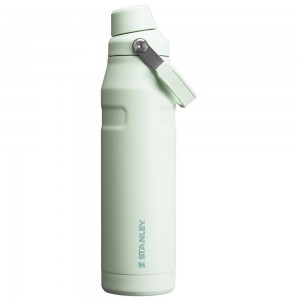 Darkseagreen Stanley IceFlow Insulated Bottle with Fast Flow Lid | 36 OZ Water Bottles | 67348SOWF