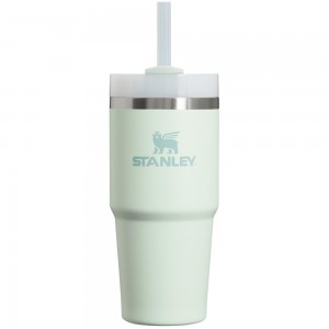 Darkseagreen Stanley Quencher H2.0 Travel | 14 OZ Tumbler | 25098TARX