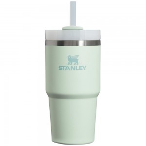 Darkseagreen Stanley Quencher H2.0 Travel Tumbler | 20 OZ Water Bottles | 16274MIJR