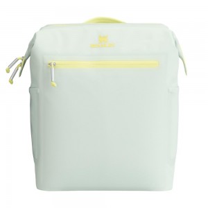 Darkseagreen Stanley The All Day Madeleine Midi Cooler Backpack | 20 Can | 14.8 QT | 14.0 L Storage | 57109AFMX