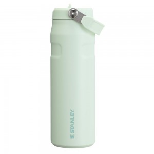 Darkseagreen Stanley The IceFlow™ Bottle with Flip Straw Lid | 24 OZ Water Bottles | 31829BKGZ