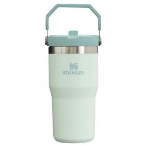 Darkseagreen Stanley The IceFlow Flip Straw Tumbler | 20 OZ | Insulated Water Tumbler | Sta Water Bottles | 86019LXFQ