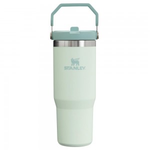 Darkseagreen Stanley The IceFlow Flip Straw Tumbler | 30 OZ | Insulated Water Water Bottles | 54368PURT