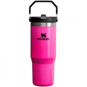 Electric Pink Stanley The Neon IceFlow™ Flip Straw Tumbler | 30 OZ Water Bottles | 95380HYEP