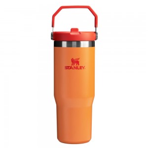 Gold Stanley The Heat Wave IceFlow™ Flip Straw Tumbler | 30 OZ Water Bottles | 62341TVWC