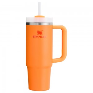 Gold Stanley The Heat Wave Quencher H2.O FlowState™ | 30 OZ Tumbler | 72836ALZB