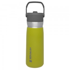 Green Stanley Go Flip Straw Water Bottle | 22 OZ | Insulated Bottle Water Bottles | 36270LGDX