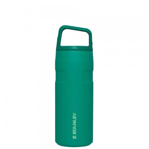 Green Stanley IceFlow™ Bottle with Cap and Carry+ Lid | 16 OZ Water Bottles | 40692GELA