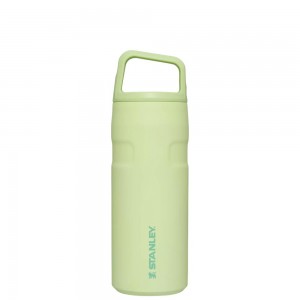 Green Stanley IceFlow™ Bottle with Cap and Carry+ Lid | 16 OZ Water Bottles | 59104FNJL