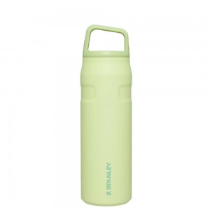 Green Stanley IceFlow™ Bottle with Cap and Carry+ Lid | 24 OZ Water Bottles | 31274JPTI