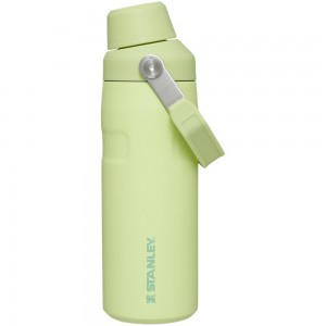 Green Stanley IceFlow™ Bottle with Fast Flow Lid | 16 OZ Water Bottles | 25379ONIP