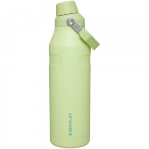 Green Stanley IceFlow™ Bottle with Fast Flow Lid | 50 OZ Water Bottles | 12679PNXF