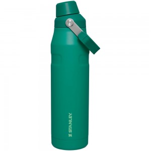 Green Stanley IceFlow Insulated Bottle with Fast Flow Lid | 36 OZ Water Bottles | 06739VUTH