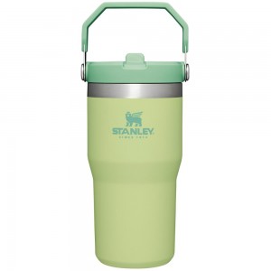 Green Stanley The IceFlow Flip Straw Tumbler | 20 OZ | Insulated Water Tumbler | Sta Water Bottles | 18569WBUX