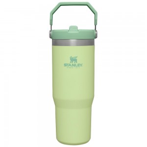 Green Stanley The IceFlow Flip Straw Tumbler | 30 OZ | Insulated Water Water Bottles | 73654OUAG