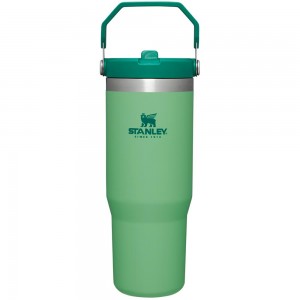 Green Stanley The IceFlow Flip Straw Tumbler | 30 OZ | Insulated Water Water Bottles | 76982GRYS