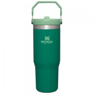 Green Stanley The IceFlow Flip Straw Tumbler | 30 OZ | Insulated Water Water Bottles | 34125DTCM