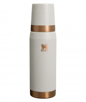 Grey Brown Stanley Forge Thermal Bottle | 25OZ Vacuum Bottles | 70948KQRH