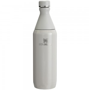 Grey Stanley All Day Slim Bottle | 20 OZ Vacuum Bottles | 71805AECS