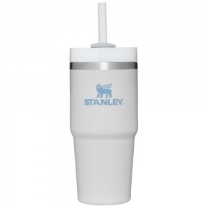 Grey Stanley Quencher H2.0 Travel Tumbler | 14 OZ Water Bottles | 02186LIPA