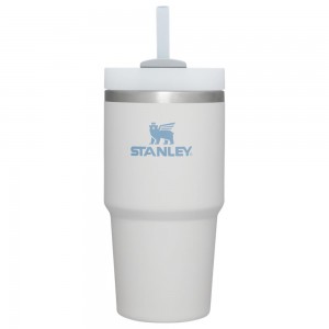 Grey Stanley Quencher H2.0 Travel Tumbler | 20 OZ Water Bottles | 96124FOTJ