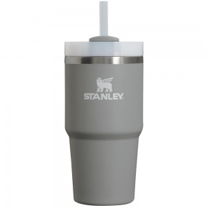 Grey Stanley Quencher H2.0 Travel Tumbler | 20 OZ Water Bottles | 34287UAVD