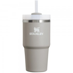 Grey Stanley Quencher H2.0 Travel | 20 OZ Tumbler | 59168TYUQ